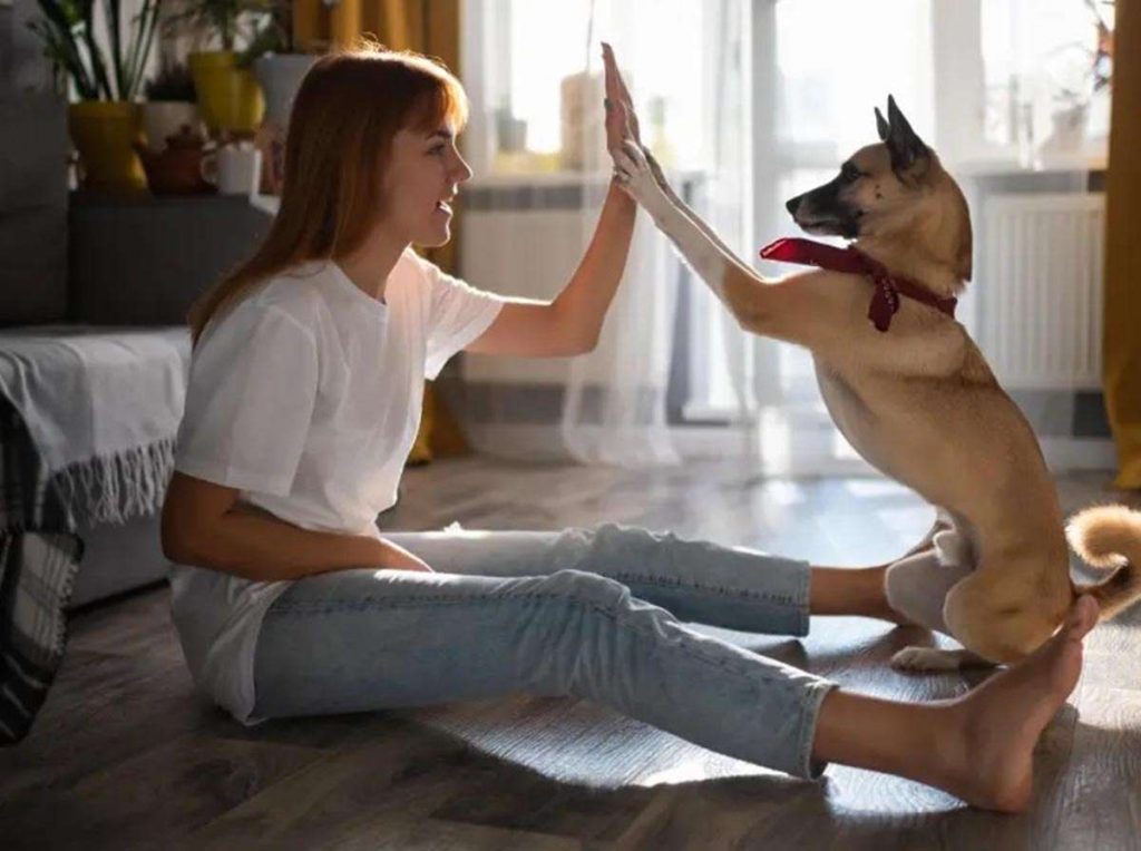 Retos virales con mascotas pueden ocasionar daños