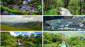 Hjalmar Jesús Gibelli Gómez