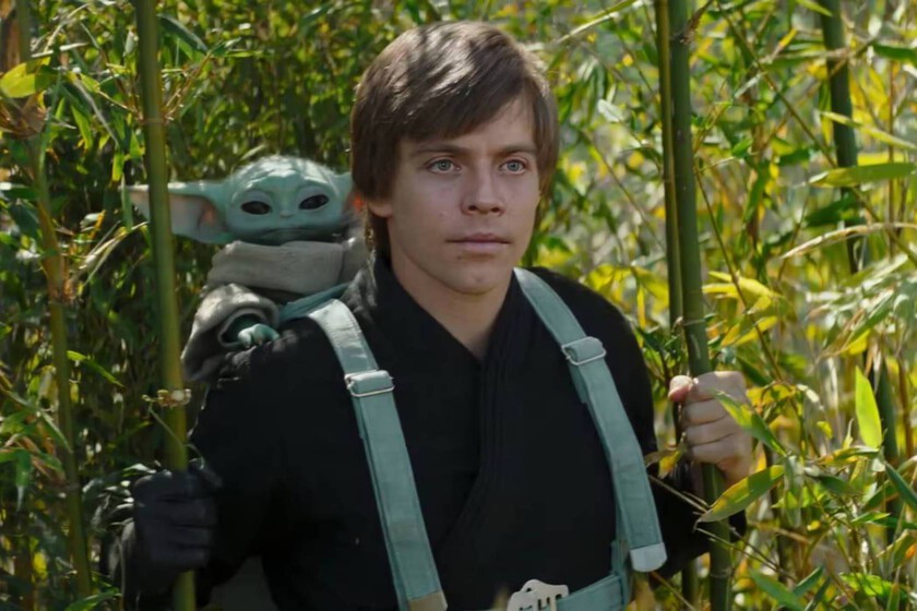 Mark Hamill coincide con la opinión de muchos fans de Star Wars, no quiere tener que volver a salir haciendo de Luke Skywalker