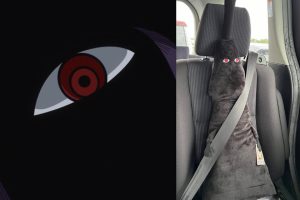 "Prefiero uno de estos a un Labubu"