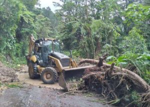 240 viviendas han colapsado en Táchira por las lluvias