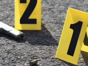 Abatidos cuatro integrantes del Tren del Llano