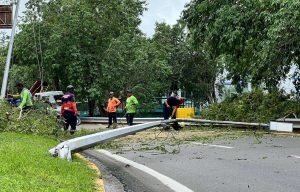 Brindan atención inmediata ante la caída de otro árbol en Maturín 