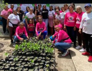 Germinaron 100 semillas de Araguaney para la reforestación en Aragua