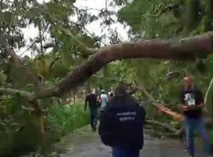 Lluvias afectan en el sistema eléctrico y vial en Ocumare del Tuy