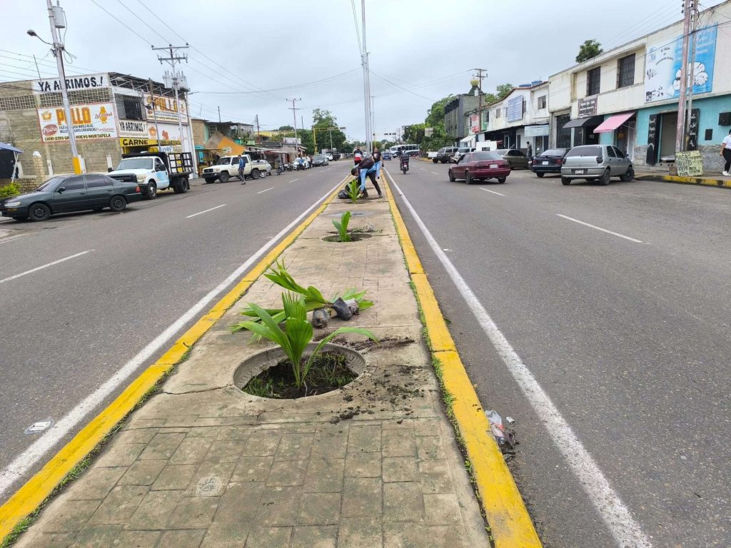 Plan de arborización “Ciudad Jardín” establecerá 2 mil plantas en Barcelona