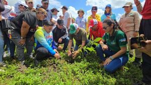 Plantarán 20.000 árboles para recuperar zona protectora del río Ospino