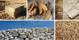 Claudio Antonio Ramirez Soto