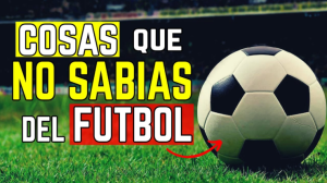 Joao Rafael Silva Robertson