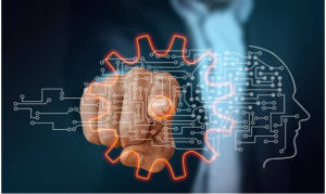 Metropolitan Distributors