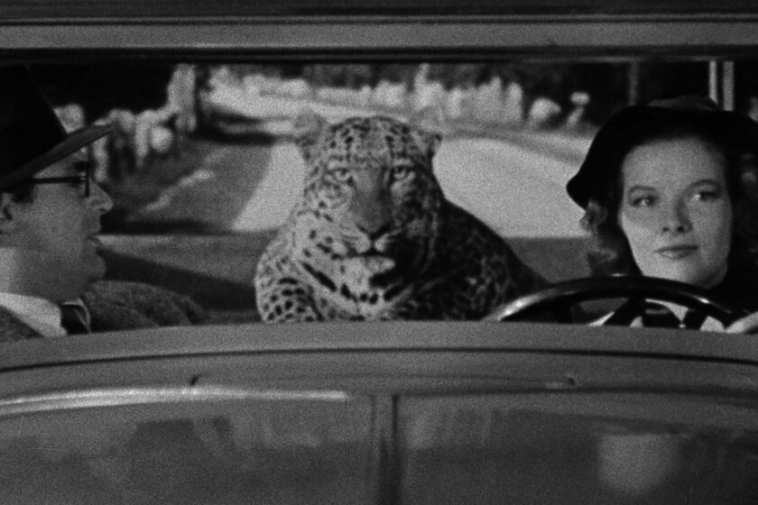 Hoy en TV, dos grandes estrellas en una divertidísima comedia que fracasó en taquilla pero se convirtió en una de las mejores de la historia