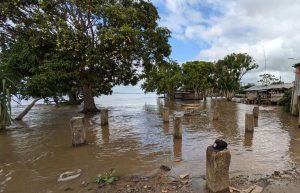 Ascenso del nivel del río Orinoco ha disminuido en Delta Amacuro