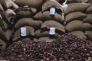 Ministra Coromoto Godoy - Venezuela exporta 50 toneladas de cacao en grano a Rusia - FOTO