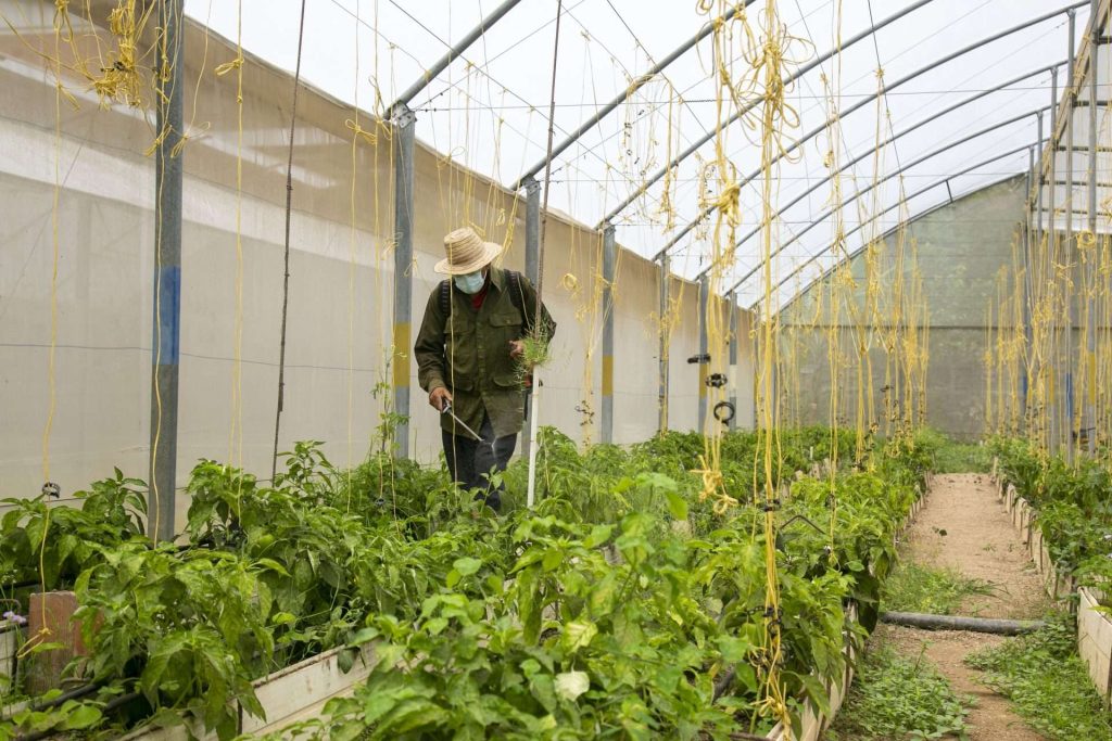 En Gramoven le dan con todo a la producción de alimentos