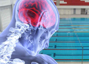 Estudios recientes revelan que la natación estimula la actividad cerebral