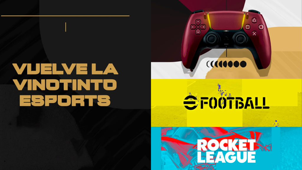 Logo ProGamers.life 2024