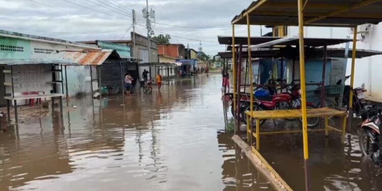 El sur de Guárico en alerta por aumento del caudal del río Orinoco