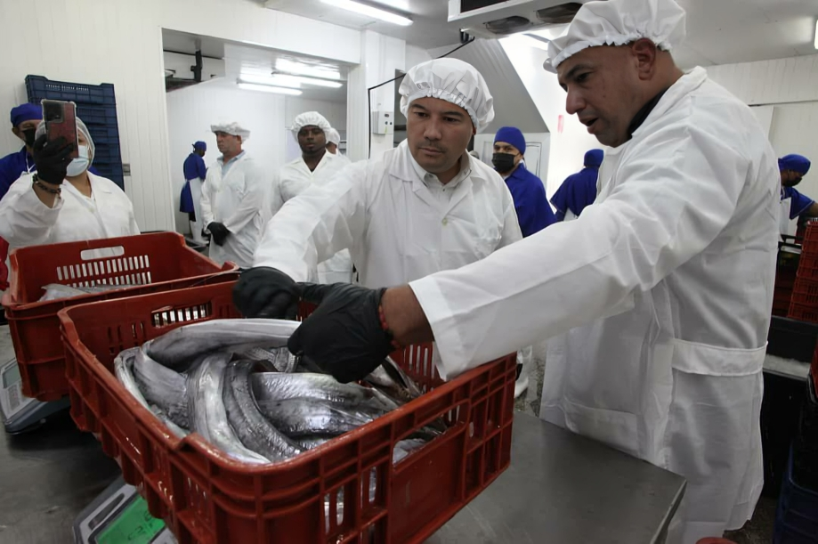 Miranda envía a China 24 toneladas de tajalí