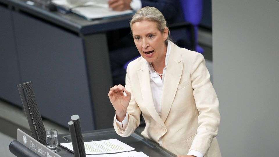 Partido alemán tilda acuerdo UE-EEUU de bofetada a Europa