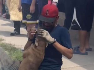 Perra perdida en escombros de un incendio se hizo viral