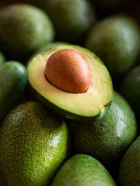Promueven exportación de aguacates a China