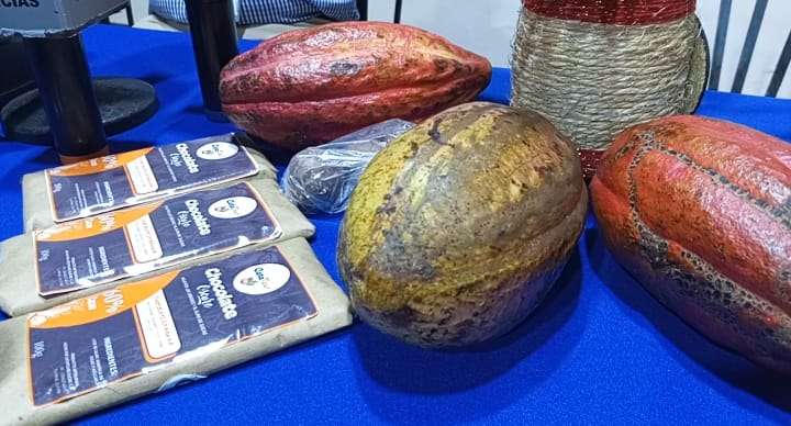 Realizarán primera Expoferia Cacao y Chocolate en Cumaná