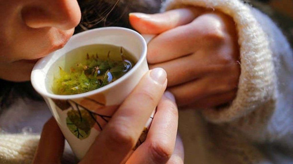 Té de boldo: una solución al problema digestivo