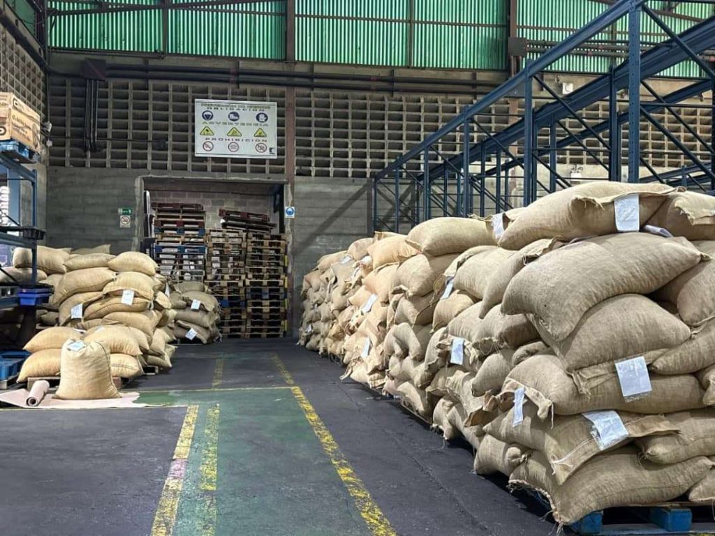 Venezuela exporta 50 toneladas de cacao a Rusia