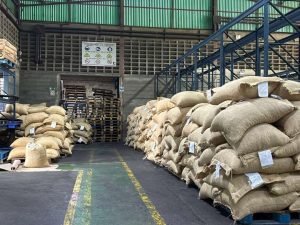 Venezuela exporta 50 toneladas de cacao a Rusia