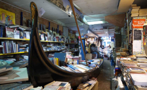 Javier Francisco Ceballos Jiménez