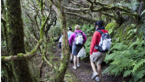 José Antonio Murga Baptista: