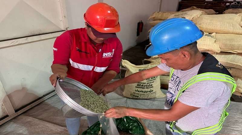 42 toneladas de café merideño rumbo a Serbia y Bielorrusia