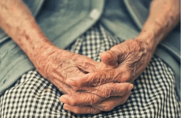 Abuela de 83 años muere en Mérida tras feroz ataque de tres perros salvajes.