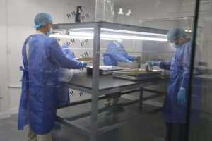Demuestran efectividad de bioinsecticida para el control del chipo en Venezuela