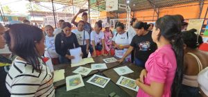 Inicia la discusión de la ley para elegir los símbolos patrios del estado Guayana Esequiba