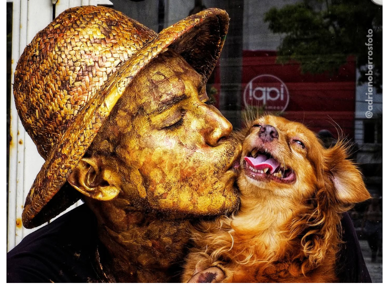 Jasper, la perrita artista que tocó corazones