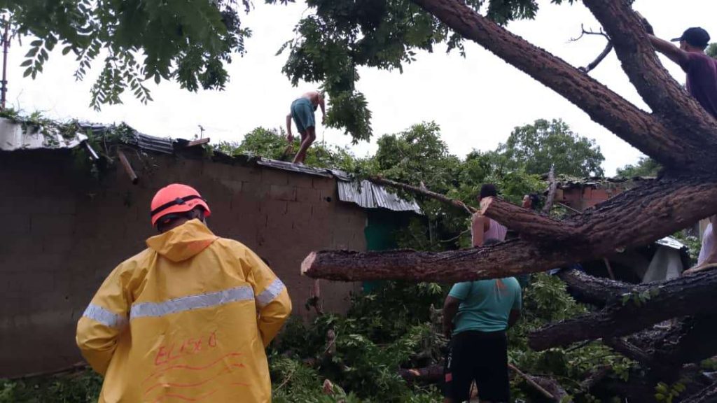 Lluvias ocasionaron caída de árboles y crecidas de ríos en Cumaná