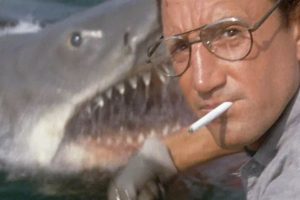 voir-estreno-netflix