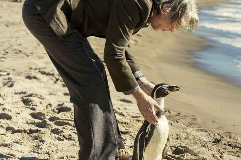 'Lo que aprendí de mi pingüino' (2025), crítica | Mezcla historia, cuquismo y antifascismo. El riesgo de la mezcla no le funciona del todo, pero al menos trata de romper con lo esperado