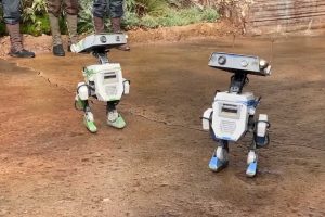 Disneyland quiere hacer realidad el mundo de Star Wars. Sus droides están empezando a utilizar inteligencia artificial