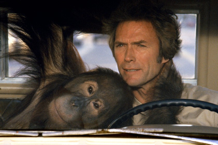 Clint Eastwood estuvo a punto de interpretar al personaje español más famoso de la historia. Iba a ser la reunión de uno de sus mejores westerns