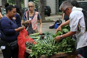 Agroproductores cumplirán 10 años con su feria en Los Caobos