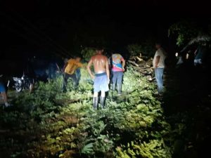 Árboles caídos y afectación del servicio eléctrico por lluvias en Trujillo