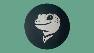 Logo ProGamers.life 2024