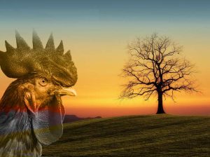 Conectando con el inicio de mis proyectos