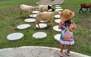 El turismo busca ser motor de cambio real en las sociedades