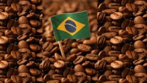 Exportaciones de café brasileño a EEUU caen un 55% por aranceles