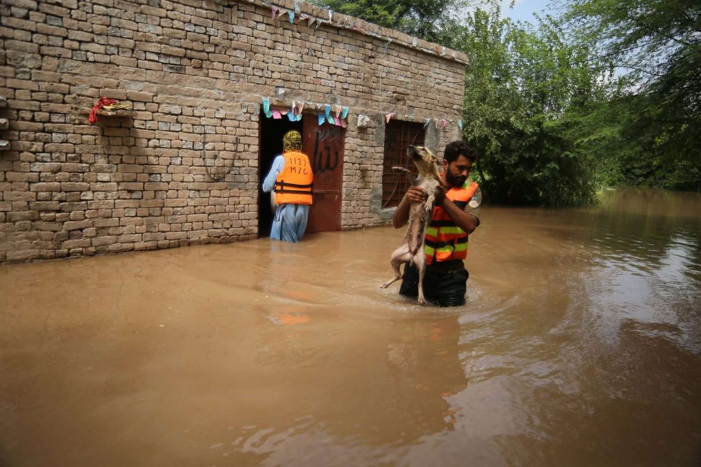 Hay 3.900 poblaciones inundadas en Pakistán