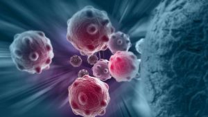 Investigadores determinan el origen y evolución del cáncer