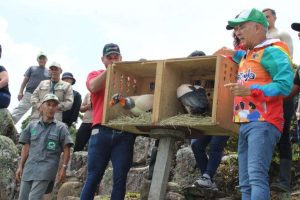 Liberan aves en Chorro El Indio de Táchira